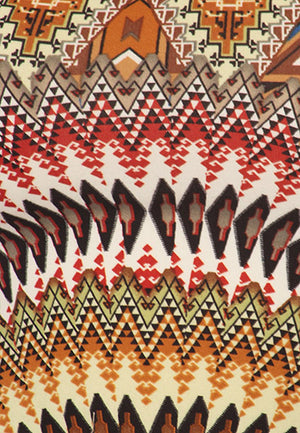 NATIVE AMERICAN PRINTED CROP TOP - Luvin Stuff Boutique